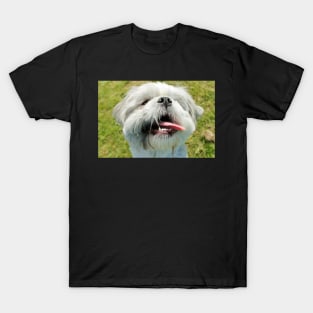 Sammy T-Shirt